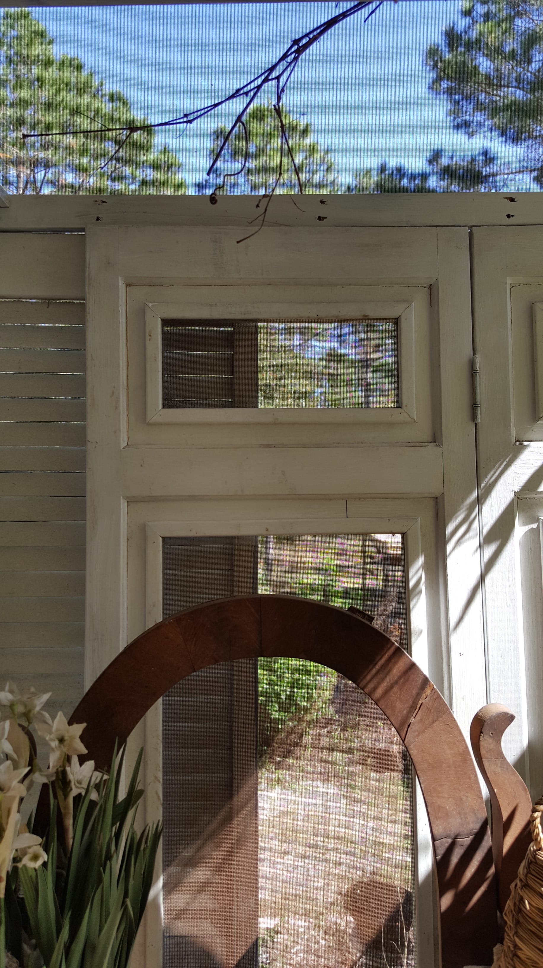 Vintage Screens Shutters Garden Potting Shed DIY Farmhouse Country Rustic