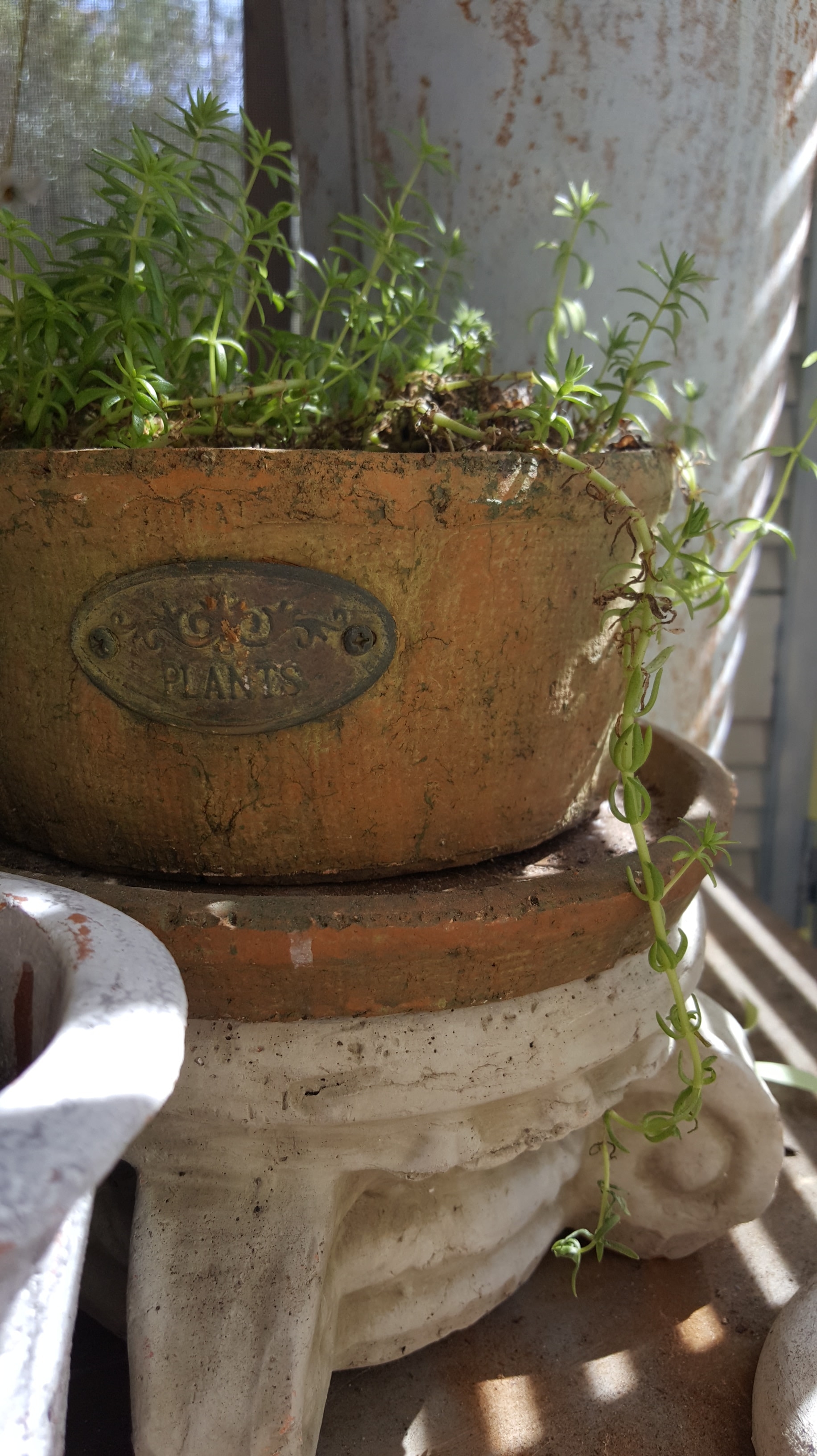 Shabby Chic Potting Shed Plants DIY Rustic Farmhouse Country