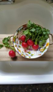 MacKenzie-Childs Spring Kitchen Decor White Farmhouse Cooking