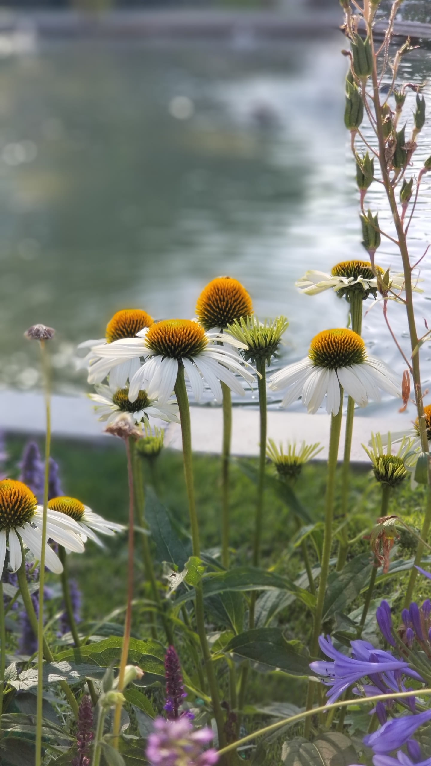 Denmark Copenhagen Daisy Flowers Seaside Travel Blogger Europe Summer Antiques Vintage Market Architecture Castles Farmers Market Pinterest Bublup Food Sightseeing Tivoli Nyhavn Danish