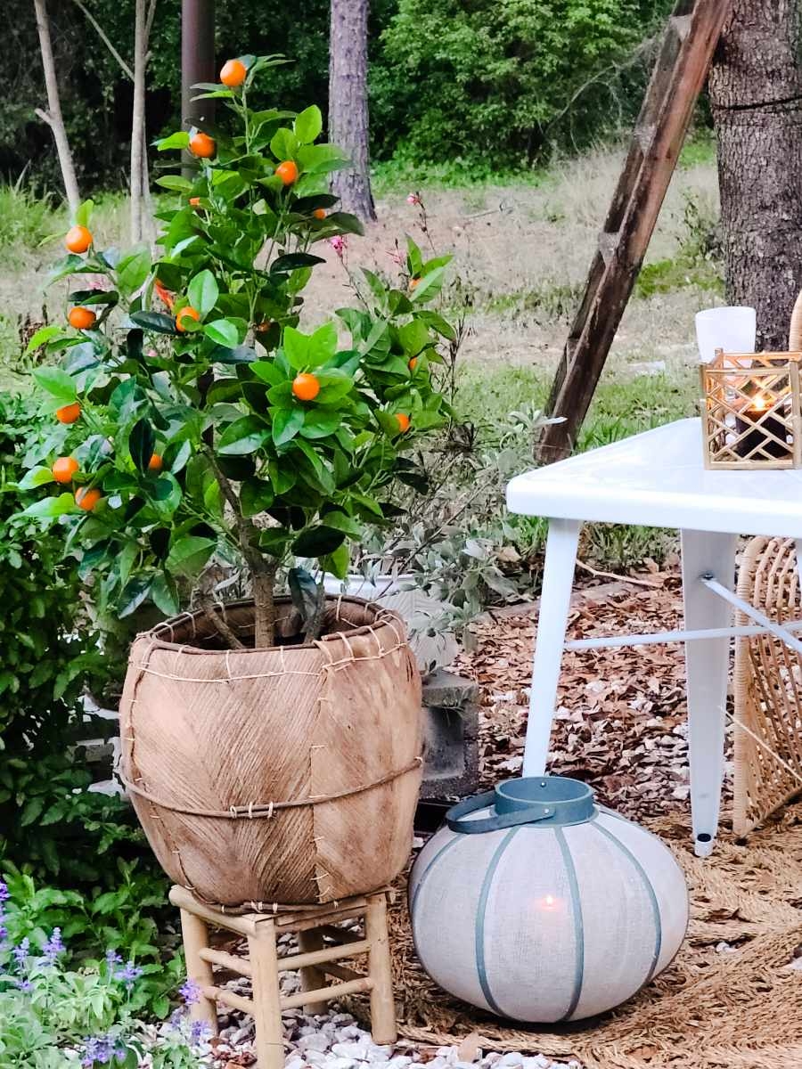Joss & Main Spring Decor Decorating Outdoor Makeover Fire Pit Garden Dining Orange Tree Candles Patio Rattan Chairs Table Lounge Modern Farmhouse Scandi Boho Pinterest Quarantine Social Distancing Country Living Florida Farm